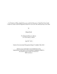 An Evaluation of Water Quality Parameters and Flow Dynamics In