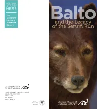And the Legacy of the Serum Run
