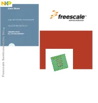 C5ENPA1-DS, C-5E NETWORK PROCESSOR SILICON REVISION A1
