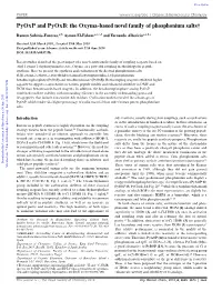 Pyoxp and Pyoxb: the Oxyma-Based Novel Family of Phosphonium Salts†