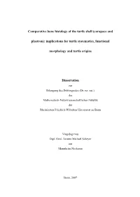 Comparative Bone Histology of the Turtle Shell (Carapace and Plastron)