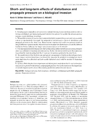 And Long-Term Effects of Disturbance and Propagule Pressure on a Biological Invasion