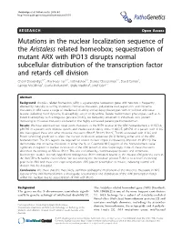 Mutations in the Nuclear Localization Sequence of The