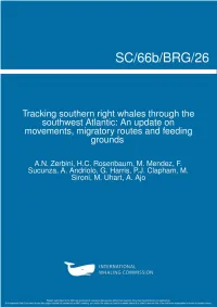 Tracking Southern Right Whales Through the Southwest Atlantic: an Update on Movements, Migratory Routes and Feeding Grounds