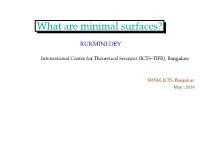 What Are Minimal Surfaces?