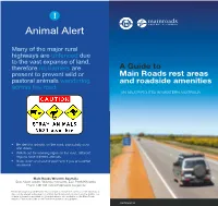 A Guide to Main Roads Rest Areas and Roadside Amenities