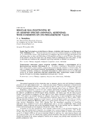 Odonata, Aeshnidae) with Comments on Its Phylogenetic Value