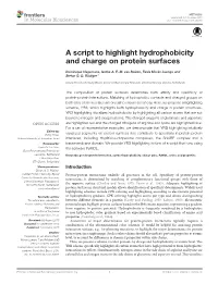 A Script to Highlight Hydrophobicity and Charge on Protein Surfaces