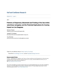 Patterns of Dispersion, Movement and Feeding of the Sea Urchin Lytechinus Variegatus, and the Potential Implications for Grazing Impact on Live Seagrass