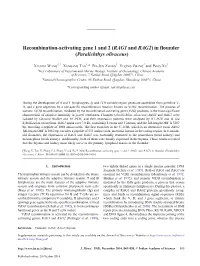 Recombination-Activating Gene 1 and 2 (RAG1 and RAG2) in Flounder (Paralichthys Olivaceus)