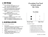 Colon Warnings Everything You Need 1