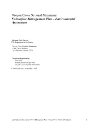 Environmental Assessment of the Subsurface