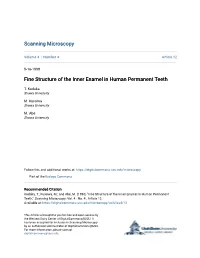 Fine Structure of the Inner Enamel in Human Permanent Teeth