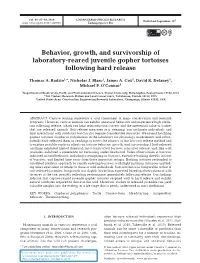 N040p017.Pdf
