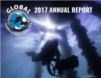 2017 Annual Report