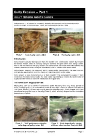 Gully Erosion and Its Causes