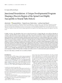Junctional Neurulation: a Unique Developmental Program Shaping a Discrete Region of the Spinal Cord Highly Susceptible to Neural Tube Defects