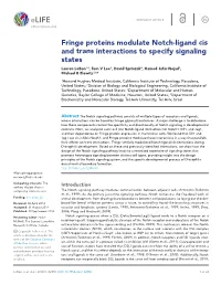 Fringe Proteins Modulate Notch-Ligand Cis and Trans