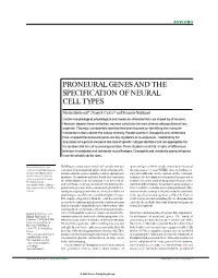 Proneural Genes and the Specification of Neural Cell Types