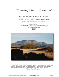 “Thinking Like a Mountain”