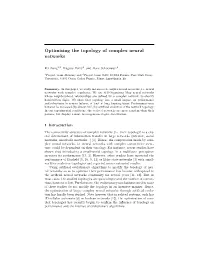 Optimizing the Topology of Complex Neural Networks