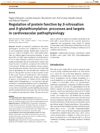 Regulation of Protein Function by S-Nitrosation and S-Glutathionylation: Processes and Targets in Cardiovascular Pathophysiology