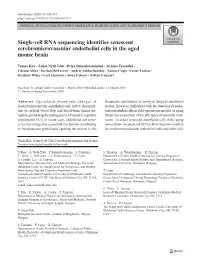 Single-Cell RNA Sequencing Identifies Senescent Cerebromicrovascular Endothelial Cells in the Aged Mouse Brain