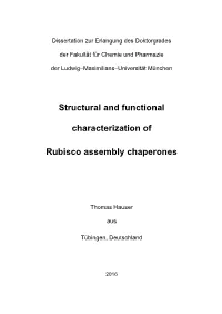 Structural and Functional Characterization of Rubisco