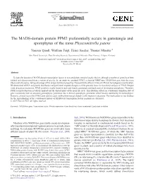 The MADS-Domain Protein PPM2 Preferentially Occurs in Gametangia