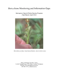 Botrychium Monitoring and Information Gaps