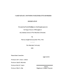 Casein Kinase 1 Isoforms in Degenerative Disorders