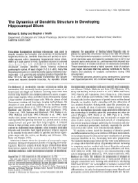 The Dynamics of Dendritic Structure in Developing Hippocampal Slices