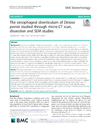 The Oesophageal Diverticulum of Dirioxa Pornia Studied Through Micro-CT Scan, Dissection and SEM Studies Kala Bhandari1, Peter Crisp2* and Michael A