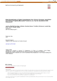 Time PCR and Propidiummonoazide Treatment, As a Tool for Quantitative Risk Assessment