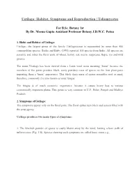 Ustilago: Habitat, Symptoms and Reproduction | Teliomycetes