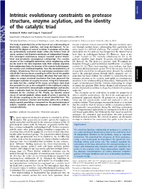 Intrinsic Evolutionary Constraints on Protease Structure, Enzyme