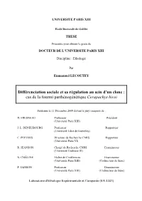Différenciation Sociale Et Sa Régulation Au Sein D'un Clone : Cas De La