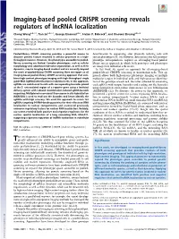 Imaging-Based Pooled CRISPR Screening Reveals Regulators of Lncrna Localization