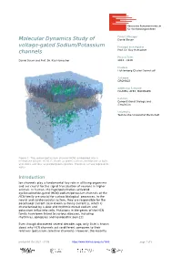 Molecular Dynamics Study of Voltage-Gated Sodium/Potassium Channels Daniel Bauer and Prof