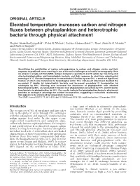Elevated Temperature Increases Carbon and Nitrogen Fluxes Between Phytoplankton and Heterotrophic Bacteria Through Physical Attachment