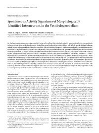 Spontaneous Activity Signatures of Morphologically Identified Interneurons in the Vestibulocerebellum