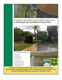 U.S. Forest Service Report