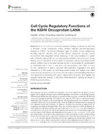 Cell Cycle Regulatory Functions of the KSHV Oncoprotein LANA