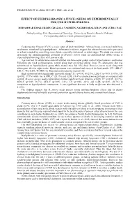 Effect of Feeding Brassica Juncea Seeds on Experimentally Induced Hyperlipidemia