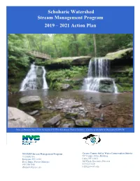 Schoharie Basin Stream Management Program Action Plan, 2019