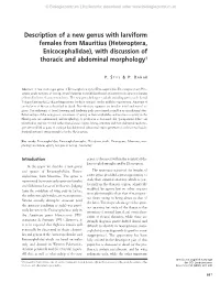 (Heteroptera, Enicocephalidae), with Discussion of Thoracic and Abdominal Morphology1