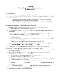 Chapter 9 Cellular Respiration and Fermentation Lecture Outline