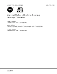 Current Status of Hybrid Bearing Damage Detection
