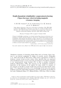 Depth-Dependent Swimbladder Compression in Herring Clupea Harengus Observed Using Magnetic Resonance Imaging