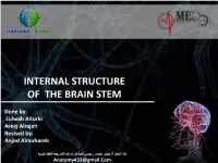 Internal Structure of the Brain Stem